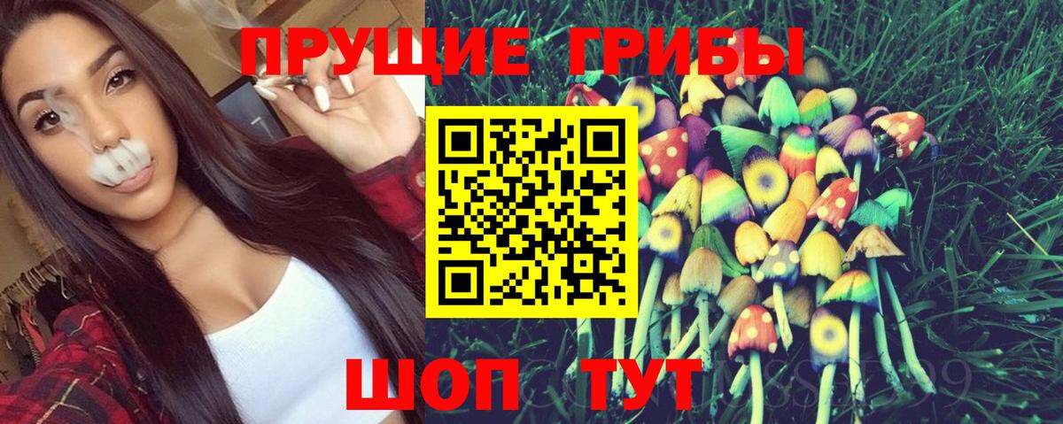 Канаш  Псилоцибиновые грибы MAGIC MUSHROOMS  Вход с VPN  Псилоцибиновые грибы ЛСД 